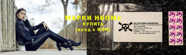 ECSTASY Алзамай