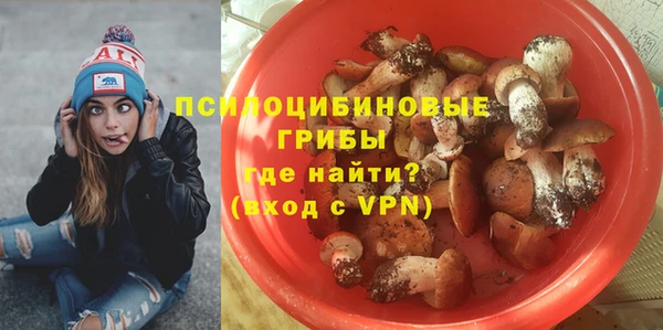 прущие крисы Зеленодольск