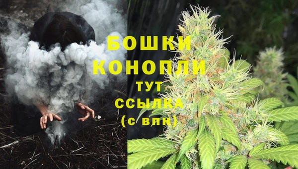 каннабис Алексеевка