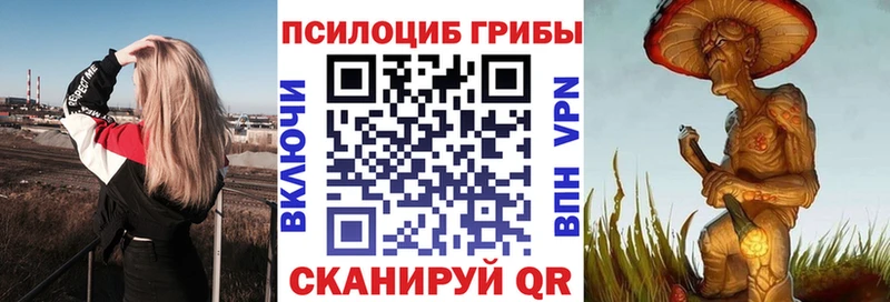 Галлюциногенные грибы прущие грибы  Покров 